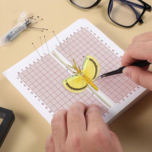 Insect Pinning Foam 6x6" Butterfly Spreading Boards Bug Pin Board EVA Foam Adjustable Insects Wings Spreading Boards Double Sided in Saudi Arabia