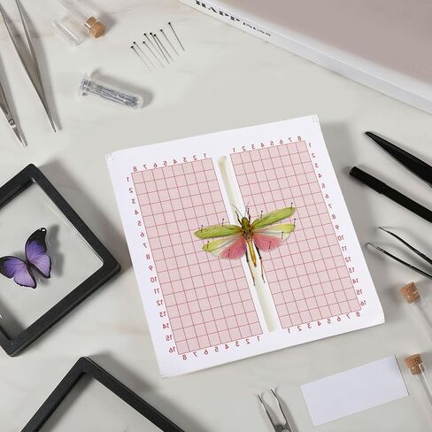 Insect Pinning Foam 6x6" Butterfly Spreading Boards Bug Pin Board EVA Foam Adjustable Insects Wings Spreading Boards Double Sided in Saudi Arabia