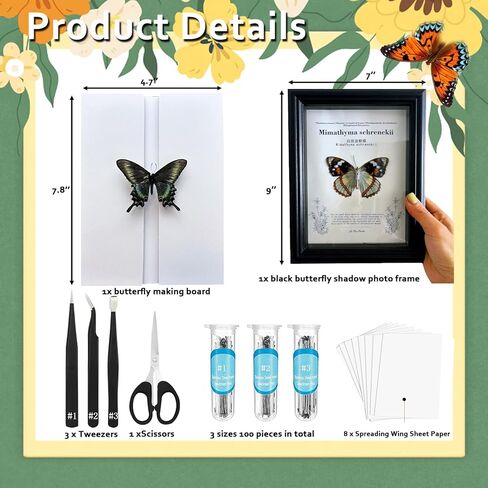 تتضمن مجموعة عينات الفراشة دبابيس، ولوحة تثبيت، وأدوات توزيع، وحقيبة عرض، وملصقات، وملقط، وحفظ وعرض عينات الفراشة. (مجموعة أدوات إطار الصورة السوداء) in Kuwait