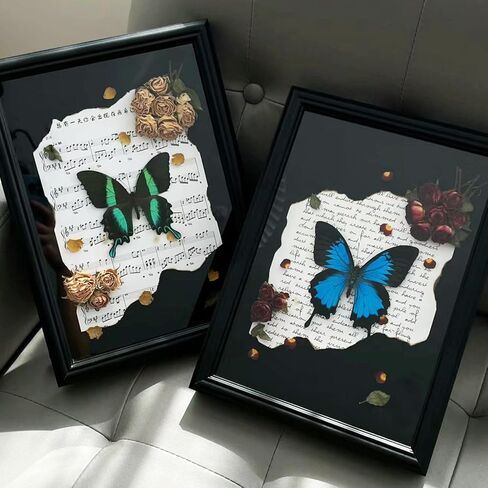 تتضمن مجموعة عينات الفراشة دبابيس، ولوحة تثبيت، وأدوات توزيع، وحقيبة عرض، وملصقات، وملقط، وحفظ وعرض عينات الفراشة. (مجموعة أدوات إطار الصورة السوداء) in Kuwait