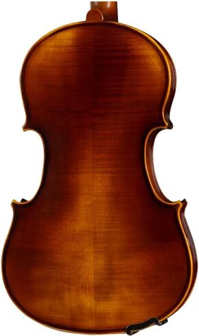 D Z Strad Viola Model 120 with Strings, Case, Bow, Shoulder Rest and Rosin (13" - Size) in Kuwait