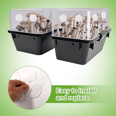 24pcs 2.5 Inch Monotub Adhesive Filter Disks, 0.12 Inch Thick Mushroom Filter Pads Monotub Filtration Pad Replacement Mushroom Growing Supplies in Saudi Arabia