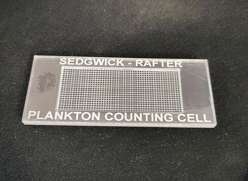 خلية عد أكريليك شبكية من نوع Sedgewick-Rafter | خلية عد العوالق Sedgewick Rafter in Kuwait