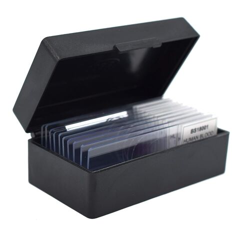 EISCO 10pk Spongy Bone Section (Mammal), Prepared Microscope Slides - 75 x 25mm Classroom Pack, 10 in Storage Case Anatomy, Biology & Microscopy- Eisco Labs in Kuwait