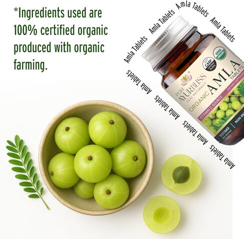 أقراص أملا عضوية 100%، أيورفيدا، لصحة الجهاز الهضمي وتوازن الأمعاء ودعم المناعة، كبسولات نباتية وغير معدلة وراثيًا من أملا للحيوية اليومية وصحة البشرة والتغذية الطبيعية - 90 قطعة in Kuwait