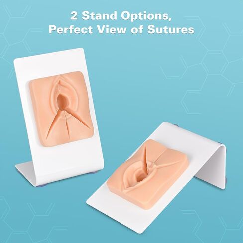 Episiotomy Suturing Training Model – 3-in-1 Multi-Incision Perineal Repair Simulator for Obstetric Nursing, Midwifery and Gynecology Education in Kuwait