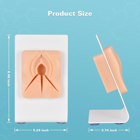 Episiotomy Suturing Training Model – 3-in-1 Multi-Incision Perineal Repair Simulator for Obstetric Nursing, Midwifery and Gynecology Education in Kuwait