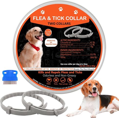 طوق للكلاب ، 2 حزمة كلاب طوق ، طوق الكلب in Kuwait