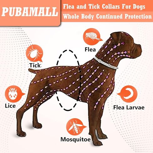 طوق للكلاب ، 2 حزمة كلاب طوق ، طوق الكلب in Kuwait