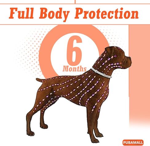 طوق للكلاب ، 2 حزمة كلاب طوق ، طوق الكلب in Kuwait