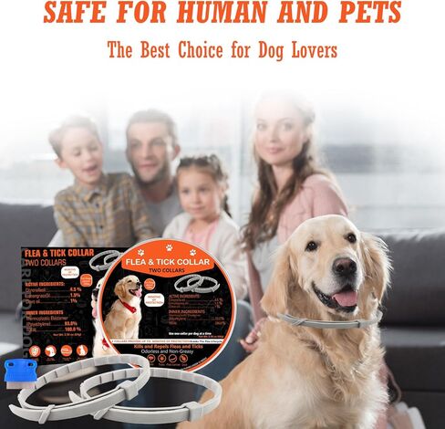 طوق للكلاب ، 2 حزمة كلاب طوق ، طوق الكلب in Kuwait