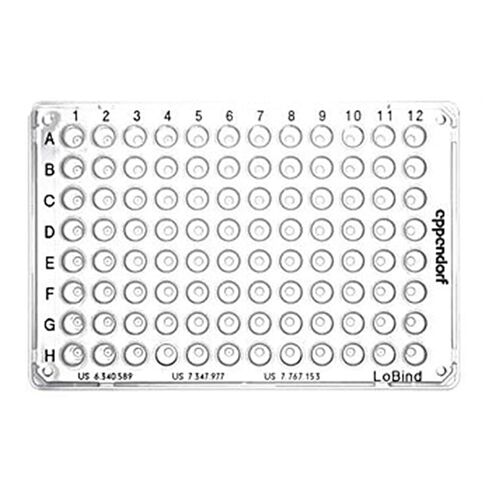 Eppendorf 30129598 Twin.tec 96 LoBind 96 PCR Plate, Skirted, PCR Clean, Red (Pack of 25) in Saudi Arabia