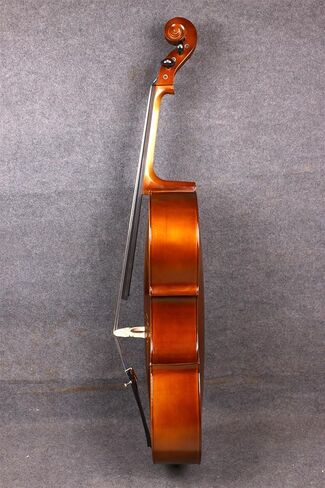 Yinfente 4/4 5 String Cello Acoustic Model Full size Spruce Maple wood Free Cello bow Bag Sweet Sound in Saudi Arabia