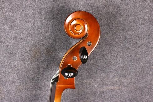 Yinfente 4/4 5 String Cello Acoustic Model Full size Spruce Maple wood Free Cello bow Bag Sweet Sound in Saudi Arabia