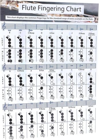 Flute Accessories, Flute Chord Chart, 28×21cm Flutes Book, for Flutes Students Who are Beginners to Learn Fingering and Scales in Saudi Arabia