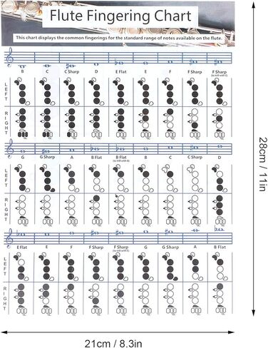 Flute Accessories, Flute Chord Chart, 28×21cm Flutes Book, for Flutes Students Who are Beginners to Learn Fingering and Scales in Saudi Arabia
