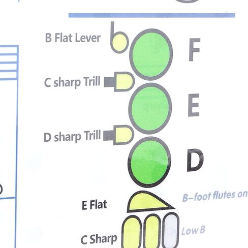 Flute Accessories, Flute Chord Chart, 28×21cm Flutes Book, for Flutes Students Who are Beginners to Learn Fingering and Scales in Saudi Arabia