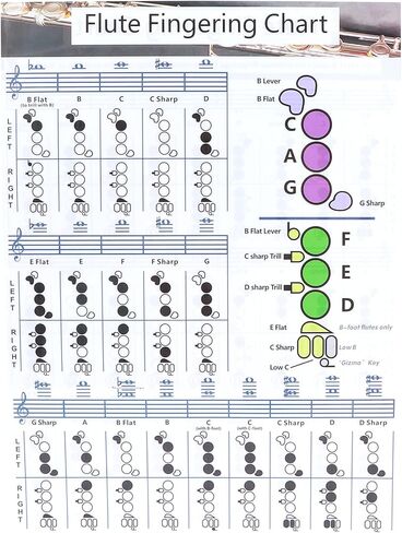 Flute Accessories, Flute Chord Chart, 28×21cm Flutes Book, for Flutes Students Who are Beginners to Learn Fingering and Scales in Saudi Arabia
