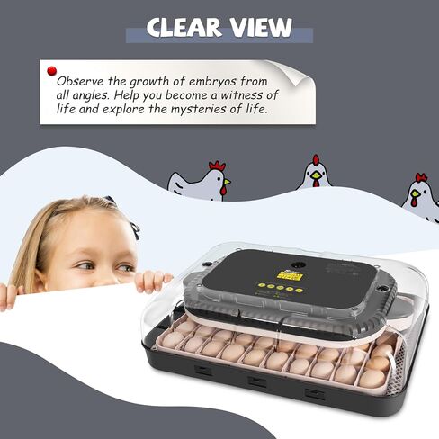 حاضنات سيلنوفو لتفريخ البيض 70 بيضة مع دوران تلقائي للبيض وترطيب تلقائي، تحكم في درجة الحرارة، حاضنة لبيض الدجاج والبط السمان، مثالية لمزرعة المدرسة المعملية، رمادي وأصفر in Kuwait
