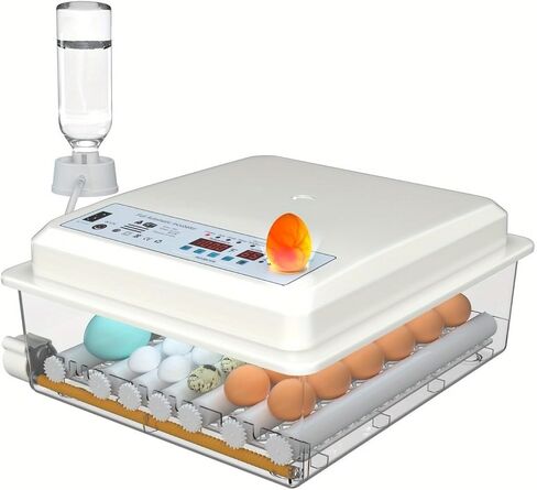 36Egg Incubator with Automatic Egg Turning and Humidity Control, Incubators for Hatching Eggs, Chicken, Ducks, Goose, Pigeon, Quail, Parrot Incubator for Farm, Lab, Science Classroom, Home in Kuwait
