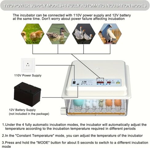 36Egg Incubator with Automatic Egg Turning and Humidity Control, Incubators for Hatching Eggs, Chicken, Ducks, Goose, Pigeon, Quail, Parrot Incubator for Farm, Lab, Science Classroom, Home in Kuwait