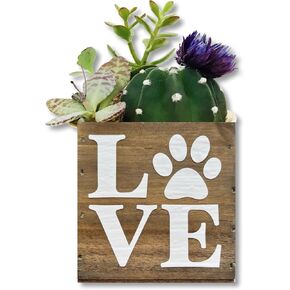 باو الحب الغراس النضرة ، هدية لطيفة لعشاق القط والكلاب ، الأطباء البيطريين ، صندوق ديكور (5 بوصات مربعة ، خشب بيضاء) in Kuwait