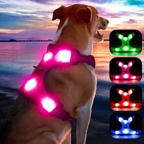 LED Dog Harness- Durable Light Up Dog Harness, Reflective Dog Harness Light, Adjustable LED Dog Coat for Small, Medium and Large Dogs (Medium, Blue) in Kuwait