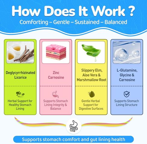 DGL & Zinc Carnosine Gummies, Supports Occasional Stomach Upset & Digestive Comfort, Deglycyrrhizinated Licorice 10:1 Extract, Gentle Gut bland for Stomach Lining Health, Sugar-Free, Non-GMO, 60ct in Kuwait