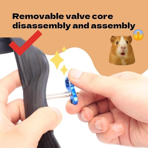 مجموعتان من ملحقات إطارات الدراجات، صمام صمولة الدراجة الممتاز، ساق صمام مع صمولة للدراجات الجبلية/الطرق (تتضمن مفتاح الربط وحلقة الختم) in Kuwait