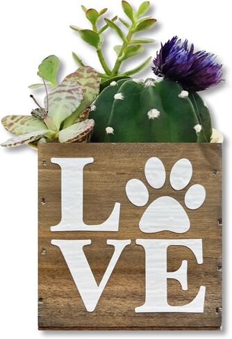 باو الحب الغراس النضرة ، هدية لطيفة لعشاق القط والكلاب ، الأطباء البيطريين ، صندوق ديكور (5 بوصات مربعة ، خشب بيضاء) in Kuwait