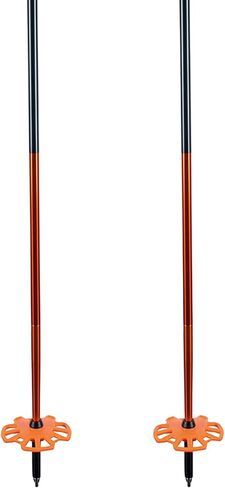 Backcountry Access Scepter 4S in Saudi Arabia