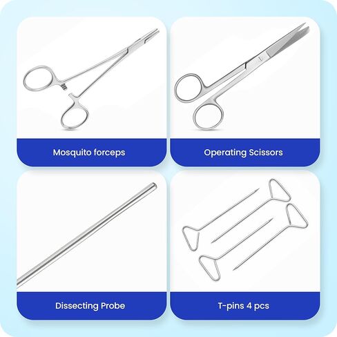Core Flex Advanced Dissection Kit Biology Lab Anatomy Dissecting Set with Stainless Steel Scalpel Knife Handle Blades for Medical and Veterinary Students Stainless Steel 15-Piece in Kuwait