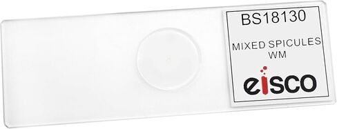 EISCO 10PK Mixed Spicules, Wholemount - Prepared Microscope Slides - Classroom Pack, 10 Slides in Storage Case - Biology & Microscopy in Saudi Arabia