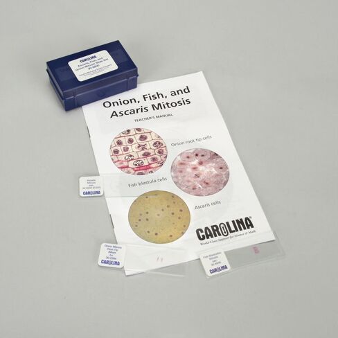 Ascaris, Fish, and Onion Mitosis Microscope Slide and Study Guide Set in Kuwait