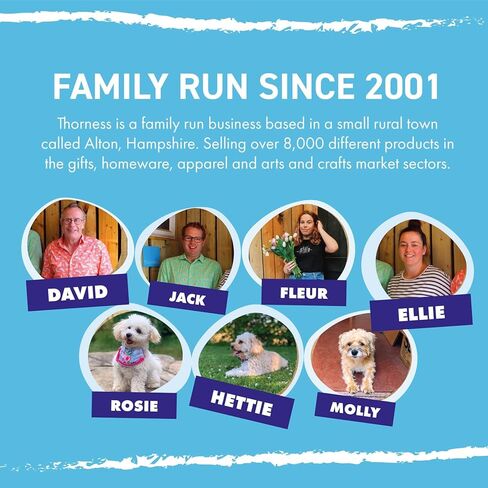 مكبر صوت معدني كبير بتصميم عتيق in Kuwait