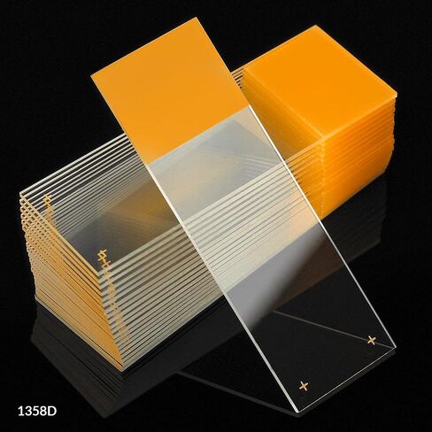 شريحة مجهر مشحونة من الزجاج الأبيض سعة 1358 لتر من Globe Scientific Diamond، مقاس 25 × 75 مم، حواف أرضية، أرجواني متجمد (1,440 شريحة) in Kuwait