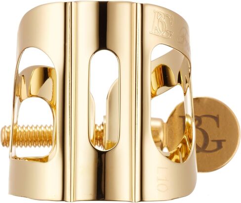 BG(0002698761) Accordion Accessory (L10BG) in Saudi Arabia