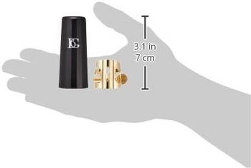 BG(0002698761) Accordion Accessory (L10BG) in Saudi Arabia