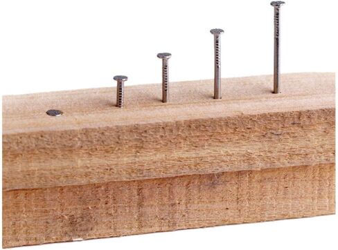 Stainless Steel Hardware Nails, Special Steel Nails, Woodworking, Wall, Small Iron Nails-2 inch 50mm42pcs(6 Inch 150mm8pcs) in Saudi Arabia