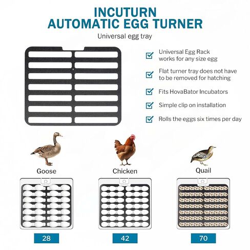 Incubator Warehouse HovaBator 2370 Starter Egg Incubator Kit (بدون صينية إضافية، أضف HumidiKit) in Kuwait