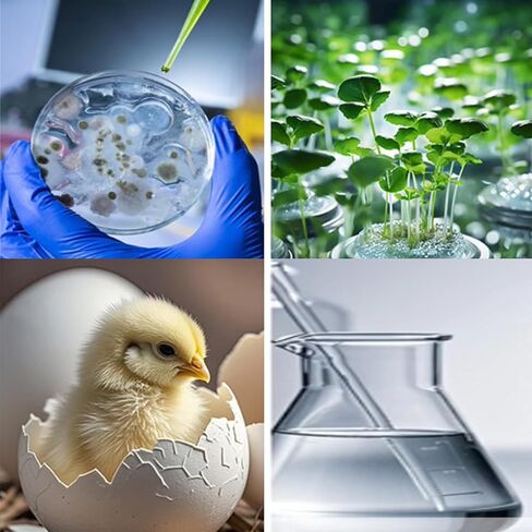 حاضنة درجة حرارة ثابتة للمختبر 125 لتر، التحكم في درجة الحرارة 5-65 درجة مئوية، غرفة حاضنة رقمية حرارية كهربائية متعددة الوظائف، 110 فولت 400 وات in Kuwait