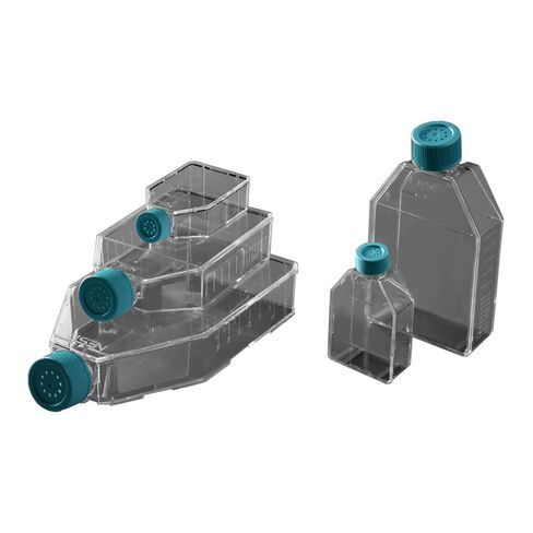 Nest Scientific 707013 Non-Treated Cell Culture Flask, Vent Cap, Sterile (Pack of 200) in Saudi Arabia