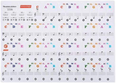 Piano Sticker 61/88 Key Keyboard Music Note Sitcker Removable Sticker for Biginners Piano Note Label (Colored) in Saudi Arabia