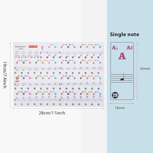 Piano Sticker 61/88 Key Keyboard Music Note Sitcker Removable Sticker for Biginners Piano Note Label (Colored) in Saudi Arabia