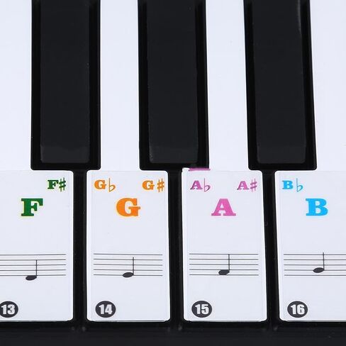 Piano Sticker 61/88 Key Keyboard Music Note Sitcker Removable Sticker for Biginners Piano Note Label (Colored) in Saudi Arabia