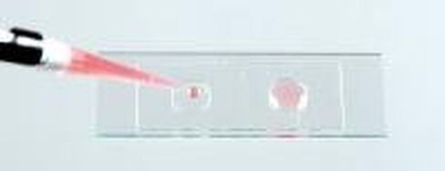 Microscope Slide Wells, 0.50mm Thick in Saudi Arabia