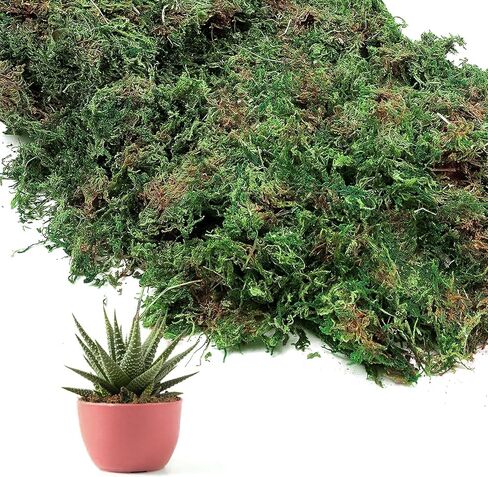 Fake Moss for Crafts- 5 OZ Artificial Moss for Potted Plants, Natural Moss for Fake Plants Indoor Micro-Landscape Terrarium Decor, Forest Moss for Hamsters in Kuwait