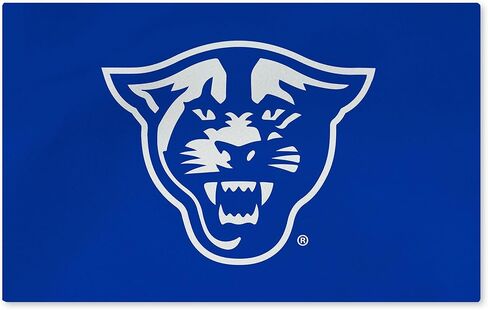 Northwest Texas State Bobcats NCAA Logo Washable Rug 20x32 inches in Saudi Arabia