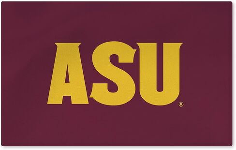 Northwest Texas State Bobcats NCAA Logo Washable Rug 20x32 inches in Saudi Arabia