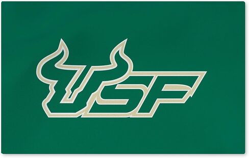 Northwest Texas State Bobcats NCAA Logo Washable Rug 20x32 inches in Saudi Arabia